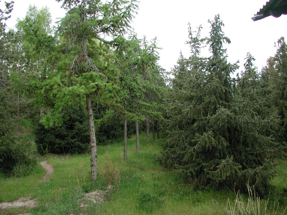 Legenda Health Resort Kaji-Say Buitenkant foto